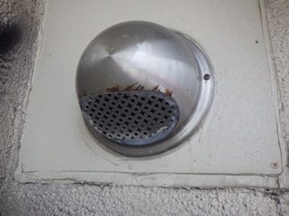 コウモリ駆除 若宮市