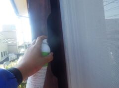 コウモリ駆除　若宮市