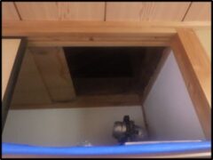アライグマ駆除　若宮市