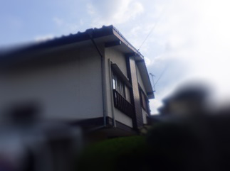 イタチ駆除　門司区