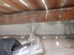 シロアリ駆除の事例