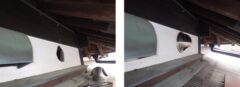 アライグマ駆除　直方市