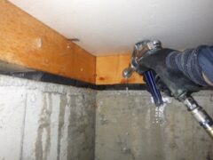 シロアリ駆除の事例