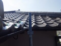 コウモリ駆除　小野田市