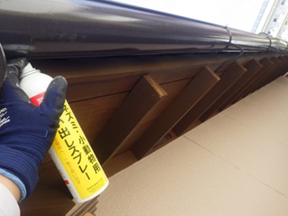 コウモリ駆除　小野田市