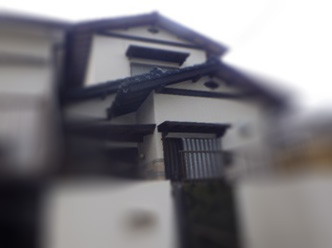 アライグマ駆除　遠賀郡