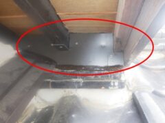 アライグマ駆除　遠賀郡