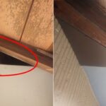 【大野城市】イタチ駆除の事例紹介と料金について