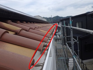 コウモリ駆除 大野城市