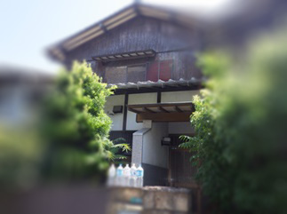 ハチ駆除　料金