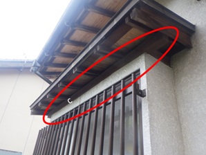 アライグマ駆除 京都郡