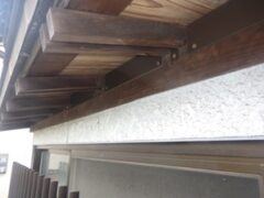 アライグマ駆除　京都郡