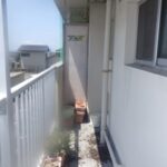 【宇部市】鳩駆除の事例紹介と料金、費用相場