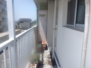鳩駆除　料金