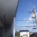 【あい営繕】鳩駆除の口コミをご紹介！実際の声と評判をご確認下さい。