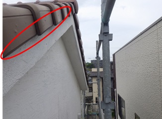 コウモリ駆除 宇佐市