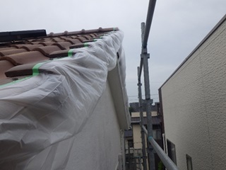 コウモリ駆除 宇佐市