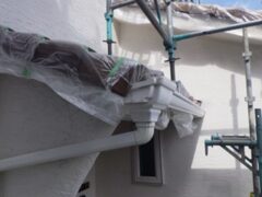コウモリ駆除　宇佐市
