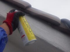 コウモリ駆除　宇佐市