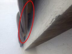 コウモリ駆除　宇佐市