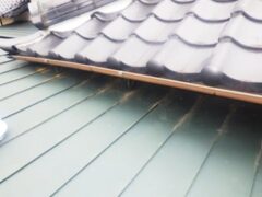 イタチ駆除　若宮市
