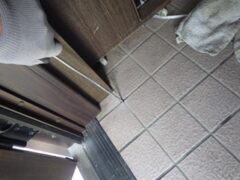 シロアリ駆除　若松区