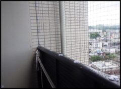 鳩駆除　朝倉郡