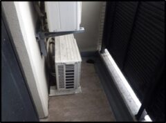 鳩駆除　朝倉郡