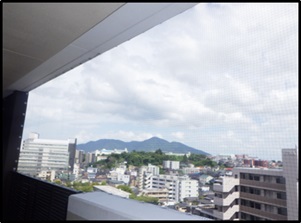 鳩駆除 朝倉郡