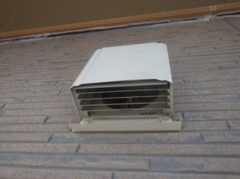 コウモリ駆除　別府市