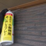 【別府市】コウモリ駆除の事例紹介と料金、費用相場について