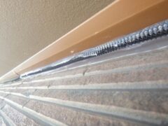 コウモリ駆除　別府市