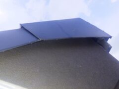 コウモリ駆除　別府市