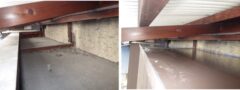 イタチ駆除　防府市