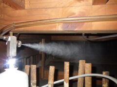 イタチ駆除　防府市