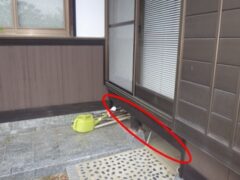 イタチ駆除　防府市