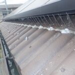 【太宰府市】鳩駆除の事例紹介（バードスパイク）と料金、費用相場について