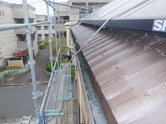 鳩駆除　太宰府市