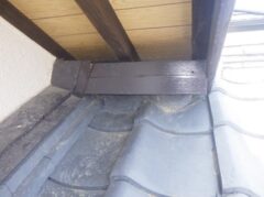 イタチ駆除　太宰府市