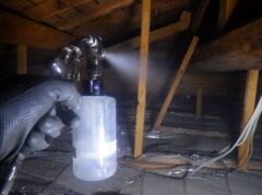 イタチ駆除　太宰府市