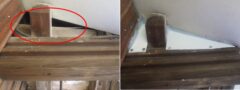 イタチ駆除　長門市