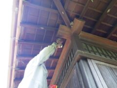 スズメバチ駆除　料金
