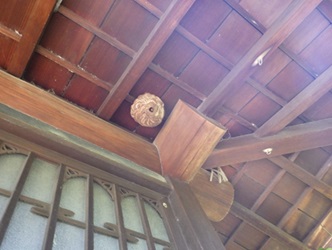 スズメバチ駆除　料金