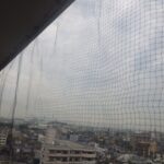 【福津市】鳩駆除事例紹介（ハトネット）と料金、費用相場について