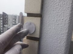 鳩駆除　福津市