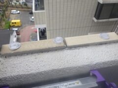 鳩駆除　福津市