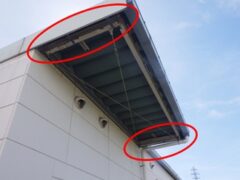 鳩駆除　日田市