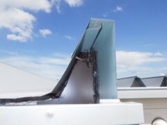 鳩駆除　日田市