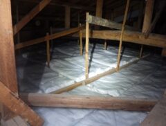 イタチ駆除　日田市