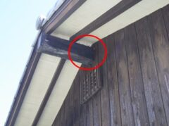 スズメバチ駆除　飯塚市